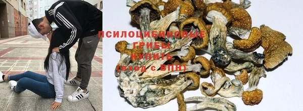 марки nbome Михайлов